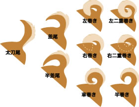 ※画像はアイリスペットより