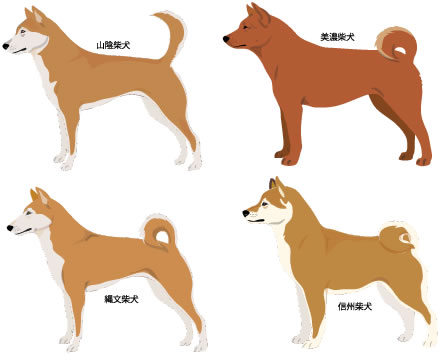 ※画像はアイリスペットより