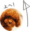 トップへ