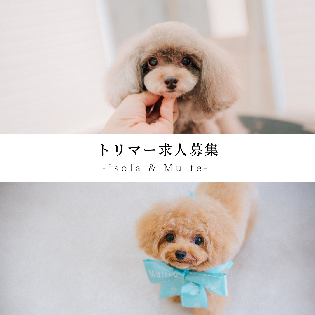 トリマー求人募集